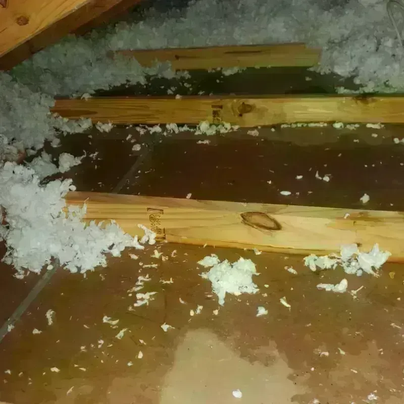 Attic Water Damage in Nantucket, MA