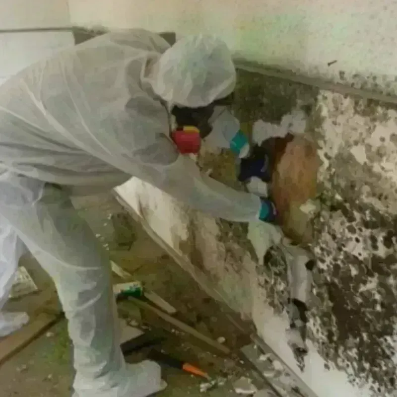 Mold Remediation and Removal in Nantucket, MA